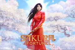 Slots - Sakura Fortune review Quickspin