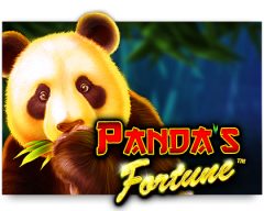 Slots - panda-s-fortune-slot