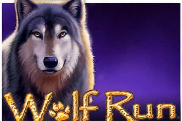 wolf-run-slot review