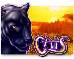 Slots - Cats gokkast review igt