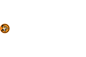 Goldrun Casino Online Casino Review
