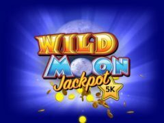 Slots - Wild Moon Jackpot Reflex Gaming