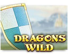 Slots - dragons-wild-gokkast review
