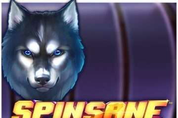 spinsane-slot review