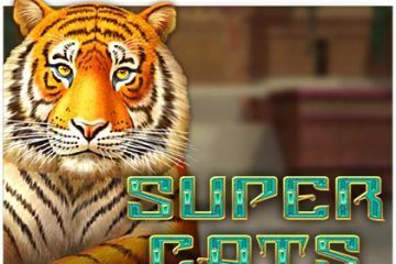 super-cats-amatic gokkast