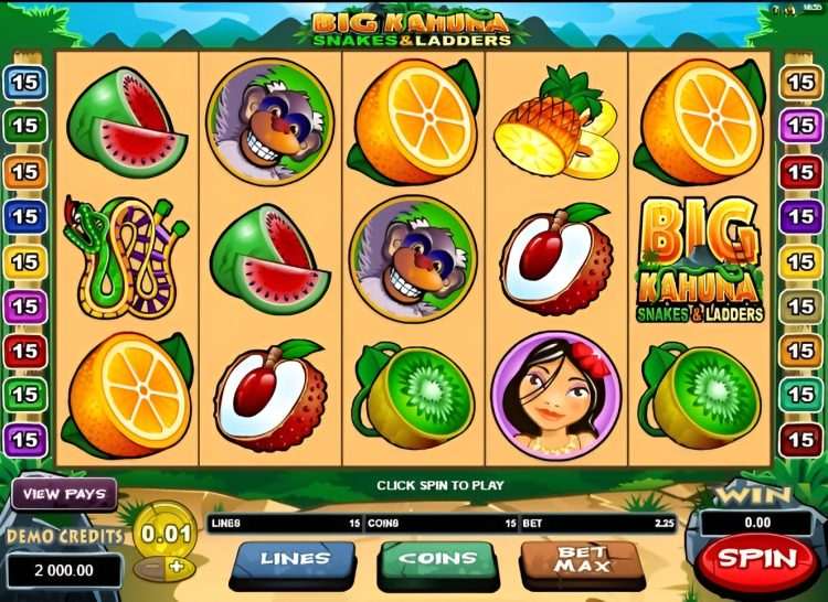 Big Kahuna Snakes and Ladders slot review Microgaming