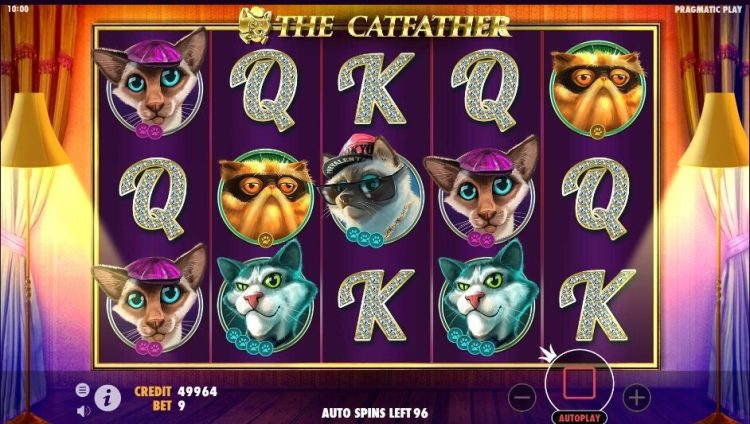 The Catfather slot review Pragmatic Play