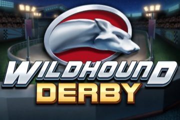 Wildhound-Derby-play n go