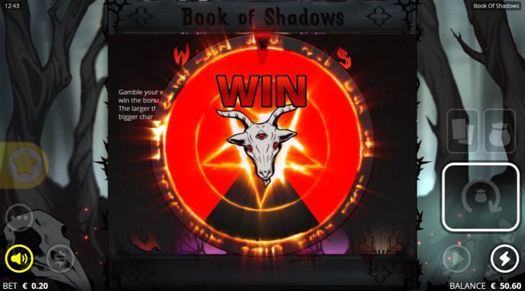 Book of Shadows slot gamble feature