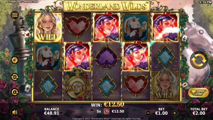 Wonderland Wilds slot Stakelogic win
