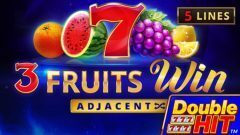 Slots - 3 fruits win double hit