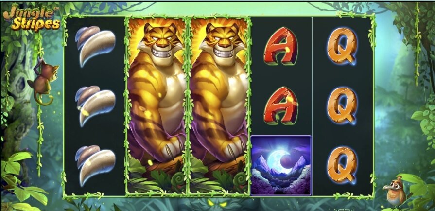 Jungle Stripes slot