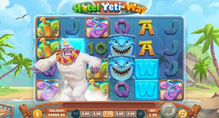 Hotel Yeti-Way slot review - Bonus
