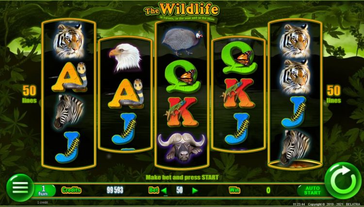 The Wild Life Slot Belatra Games - Gameplay
