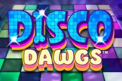 Slots - Disco Dawgs