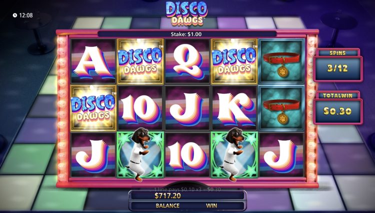 Disco Dawgs slot bonus