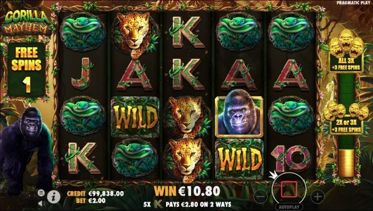 Gorilla Mayhem Bonus