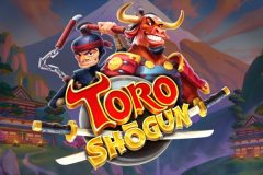 Slots - Toro Shogun - Online Slot Review
