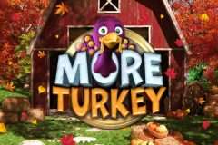 Slots - More Turkey Online Slot Review