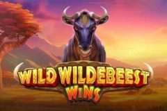Slots - Wild Wildebeest Wins Online Slot Review