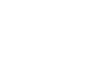 WhiteLion Bets Online Casino Review