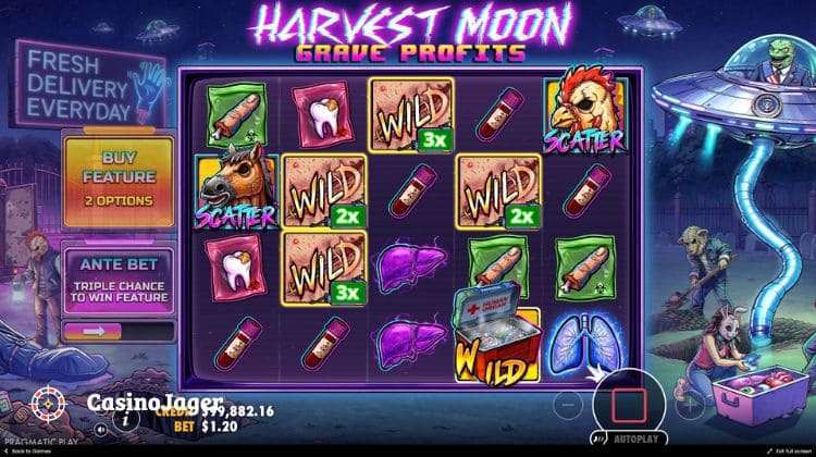 Harvest Moon Grave Profits Gold Wild